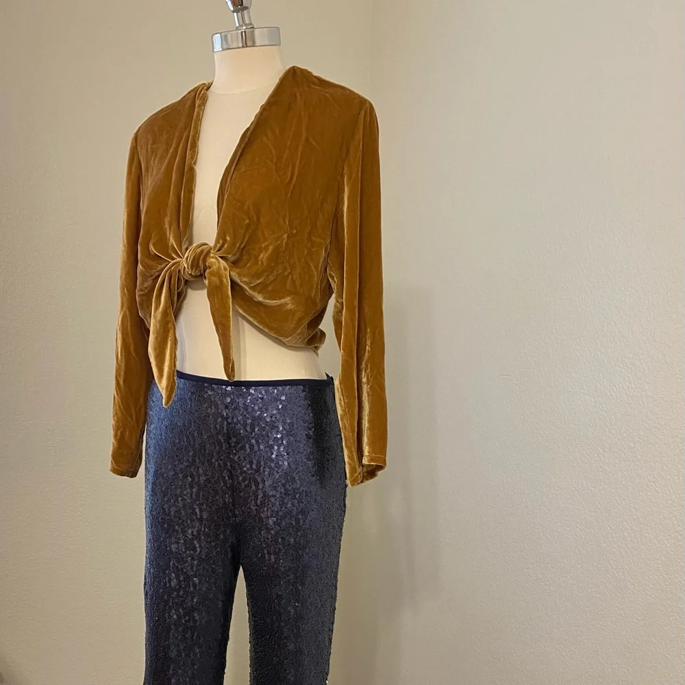 Reformation velvet top - Picture 2 of 6